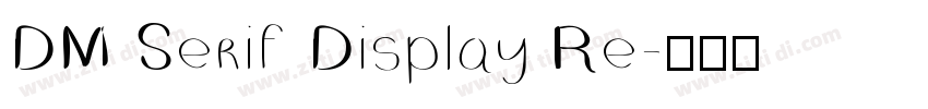 DM Serif Display Re字体转换